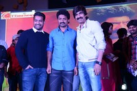 Patas Movie Audio Release